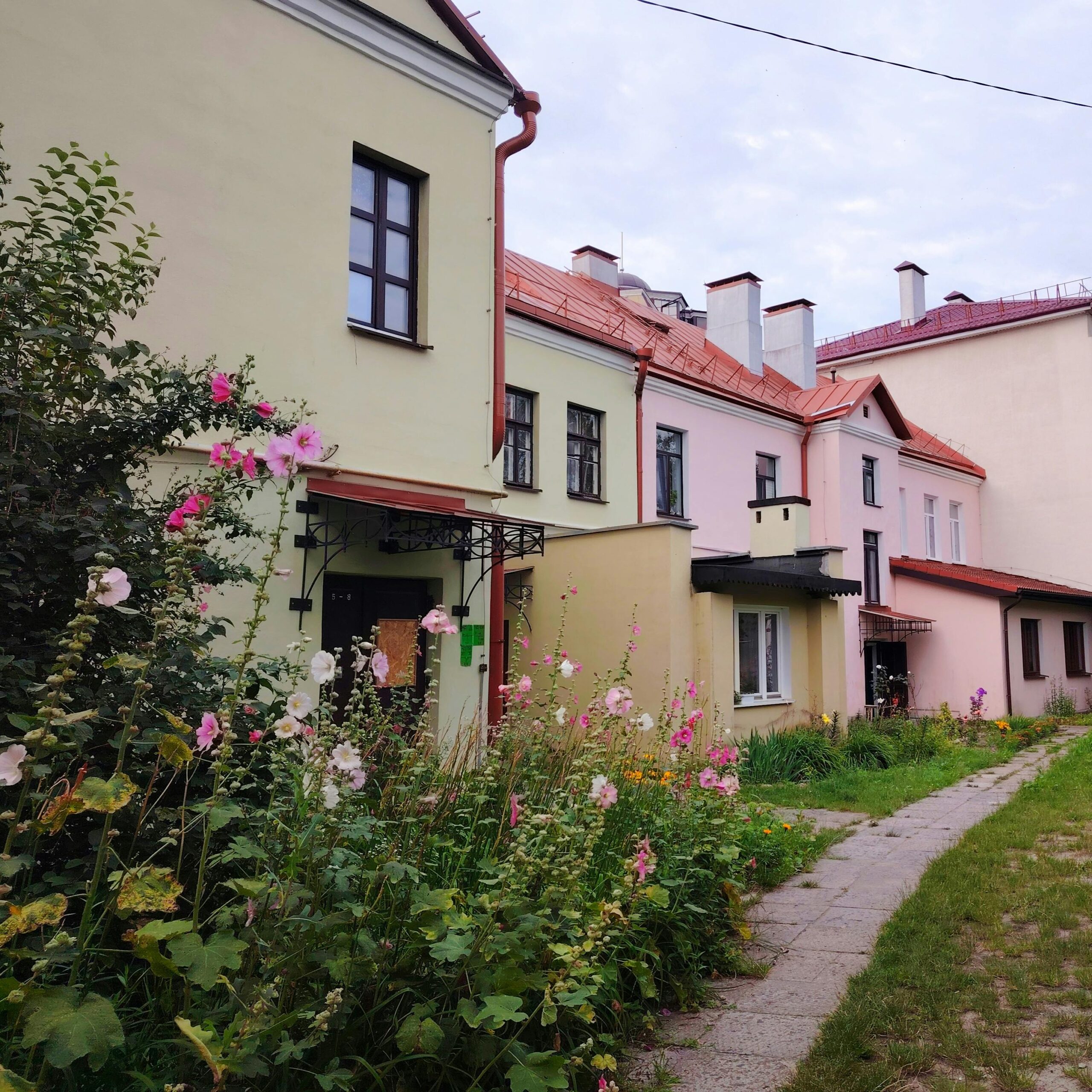 Quaint residential street with pastel houses and blooming summer garden.